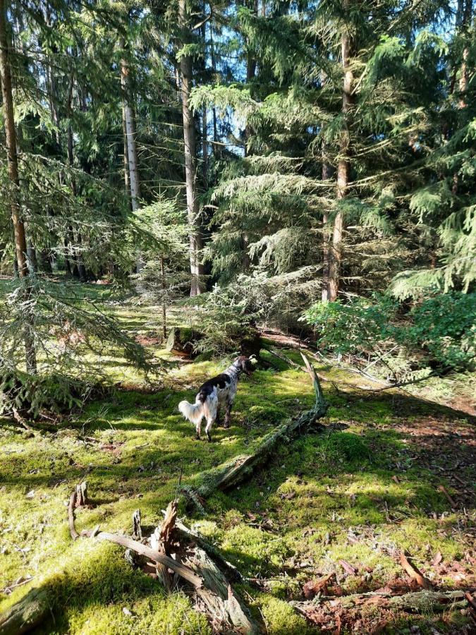 Stružná Forest Paradise מראה חיצוני תמונה