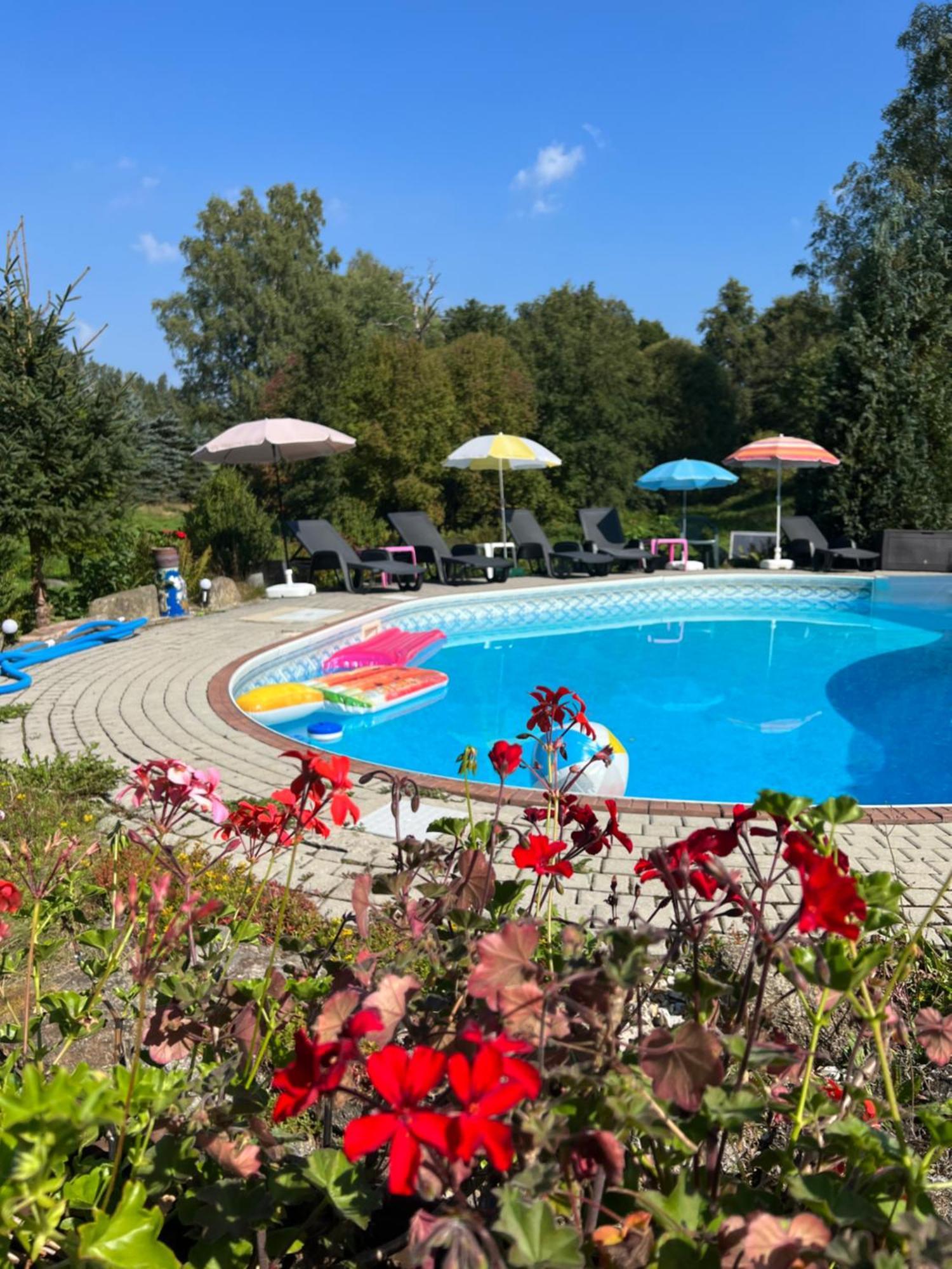 Stružná Forest Paradise מראה חיצוני תמונה